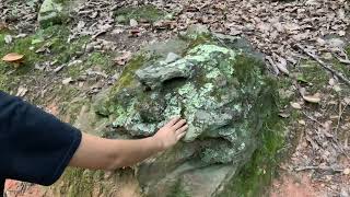 Hiking Crowders Mountain in August on Spores [upl. by Aicil]