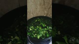 kalmi saag cooking [upl. by Ventura]