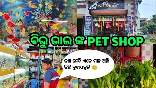 ବିଭୁ ଭାଇ ଙ୍କ pet shop🐶🐦🐠 Debottaar colony lane2nayagarh ph8270087771BiswajitChoudhurysz7ls [upl. by Arrakat]