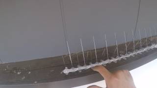 How to keep birds away  install bird spikes [upl. by Harrell]