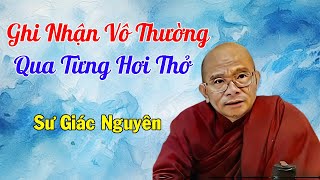 Ghi Nhận Vô Thường Qua Từng Hơi Thở  Sư Giác Nguyên  Sư Toại Khanh [upl. by Joette]