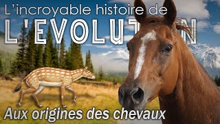 Aux origines du cheval Équidés  Évolution  Paléontologie  Simplex Paléo [upl. by Allerym]