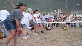 Wiener Dog Races 2023 at Louisiana Downs [upl. by Roderica]