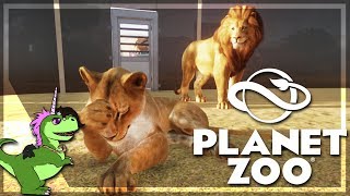 PLANET ZOO  Sortie des FÉLINS  LIONS et TIGRES  14 [upl. by Reed]