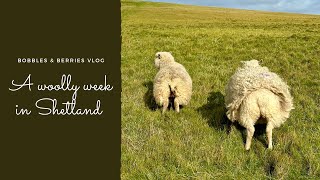 The Bobbles amp Berries Podcast · Vlog 1  A week in Shetland during Shetland Wool Week [upl. by Panta980]