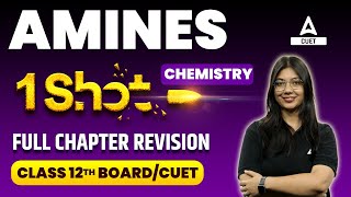 CUET 2024  Amines Class 12 One Shot  Chemistry Chapter 7 [upl. by Amena]