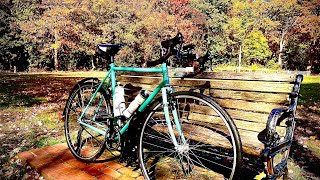 Wabi Thunder Gravel Bike Review Is It Worth It [upl. by Artema753]