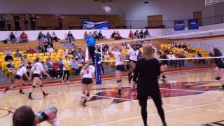 VB vs Wheeling Jesuit Highlights 12416  NCAA Atlantic Region Finals  Edinboro Athletics [upl. by Yrral732]