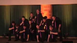 Disney Medley A Cappella  The Summit Singers [upl. by Hepsibah45]