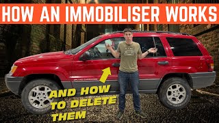 What Is An Immobiliser How Does It Work And How Do You DELETE It [upl. by Onileba]