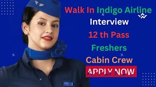 IndiGocabin crew vacancies Novembercabincrew flightattendant interview aviation cabin crew [upl. by Naiva]