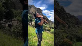 Tarajchi Libre  Sampoña  Panflute  Quena  by Raimy Salazar Vertical Video [upl. by Aikemehs]