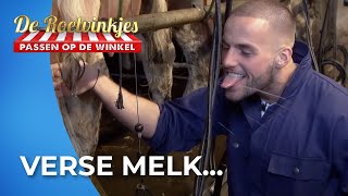 Dave en Donny PROEVEN aan het BOERENLEVEN 🐮 🐷  De Roelvinkjes AFL10 [upl. by Elletnuahs389]