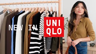 The Best Fall UNIQLO Essentials Right Now  Work amp Casual Fall Haul 2024 [upl. by Ridley403]