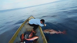 MERAWAI IKAN TEMPATNYA SANGAT DANGKALtapi hasilnya sangat luar biasa [upl. by Anitsuga]