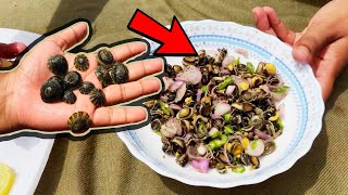 Limpet Mollusk Salad  Simple and Easy Sea Food Making on Beach [upl. by Alahc]