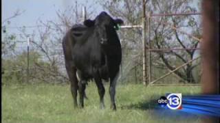 AURORA TX Legend has it that residents had their own alien encounter [upl. by Chafee]