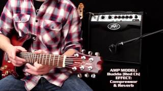 Peavey Vypyr VIP  Multi Instrument Performance Demo [upl. by Una525]