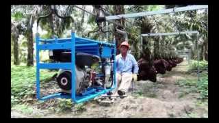 OIL PALM CABLEWAY CENTRO ACEROS [upl. by Eniac]