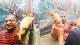 Mustafa Bhai an experienced fisherman has caught many fishes in the village pond [upl. by Hanna]