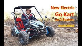 Factory New High Performance 2 Seaters Electric Go Kart [upl. by Anigue68]