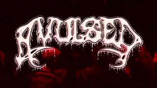 Avulsed live  Heidelberg Deathfest [upl. by Socrates835]