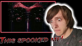 BATTINGTONS NEW VIDEO IS HORRIFYING  FNAFVHS Reaction [upl. by Ellemaj]