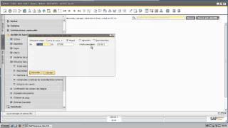 Extracto bancario y reconciliaciones en SAP Business One [upl. by Weiler125]