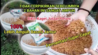 CARA FERMENTASI SEKAM MENTAH SUPER CEPAT‼️ BELOM ADA YANG TAU TRIK AMPUH INI [upl. by Haila]