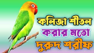 কলিজা শীতল করার মতো দুরুদ শরীফ এক বার শুনে দেখুন [upl. by Mccoy993]