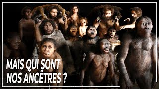 LINCROYABLE Odyssée Humaine  Qui sont nos ancêtres   DOCUMENTAIRE Histoire Science Vie [upl. by Sanalda116]