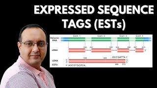 What are Expressed Sequence Tags EST  Genomics [upl. by Firahs]