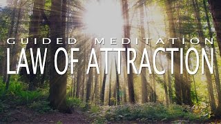 Law of Attraction Meditation for Deep Positivity amp Abundance Guided Meditation 20 Minutes [upl. by Lessard951]