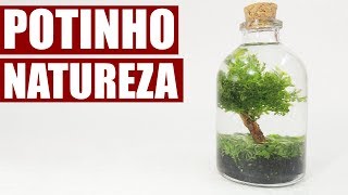 POTE DE NATUREZA  FAÇA O SEU I Kaka Craft na Redelease [upl. by Maris]