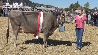 Viehschau Einsiedeln 2592018 [upl. by Yahska175]