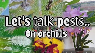 Pests on orchids treatments different types of pests various pesticides [upl. by Witty]