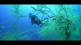 PADI Enriched Air Diver Course [upl. by Amlet344]