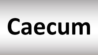 How to Pronounce Caecum [upl. by Nasus387]