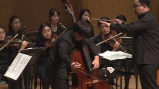 D Dragonetti  Double Bass Concerto in A Major [upl. by Rozina]