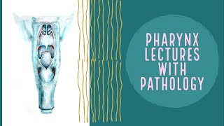 PHARYNX lecture 4 HYPOPHARYNX in deatil and PYRIFORM fossa complete explanation [upl. by Therese]