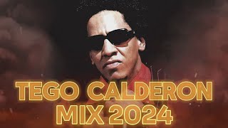 TEGO CALDERON MIX 2024  REGGAETON VIEJO MIX  REGGAETON CLASICO MIX 2024 [upl. by Anawd132]