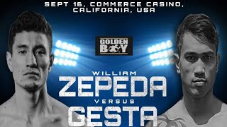 Mercito Gesta vs William Zepeda fight highlights [upl. by Nenerb]