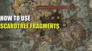 How to use Scadutree Fragments Elden Ring [upl. by Jaquenette]