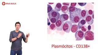 HEMATOLOGIA  Mieloma múltiplo l MedAula [upl. by Oir]