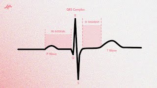 The Cardiac Cycle on an EKG PQRST Waves [upl. by Annuahsal]