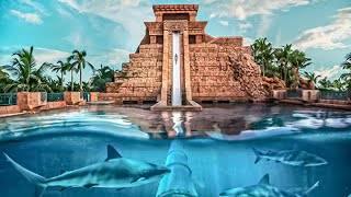 Waterslides at The Tower of Neptune in Aquaventure Waterpark DUBAI [upl. by Nueoht747]