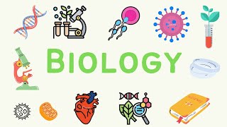 9 A Level Biology  Homeostasis 🌡 [upl. by Jermyn]