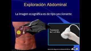 exploración ecográfica del abdomen [upl. by Larena]