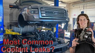 Ford F150 Most Common Coolant Leaks  35 EcoBoost V6 [upl. by Oirramaj]