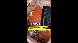 Hier wurde illegaler ShishaTabak hergestellt shorts [upl. by Erna]